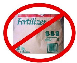 no fertilizer