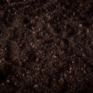 potting soil